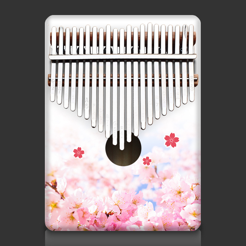 Colorful 21 Key Kalimba Kids C - Musical Instrument Kids 评论和价格